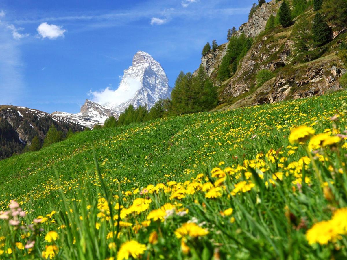 Apartment Sungold-1 By Interhome Zermatt Eksteriør bilde